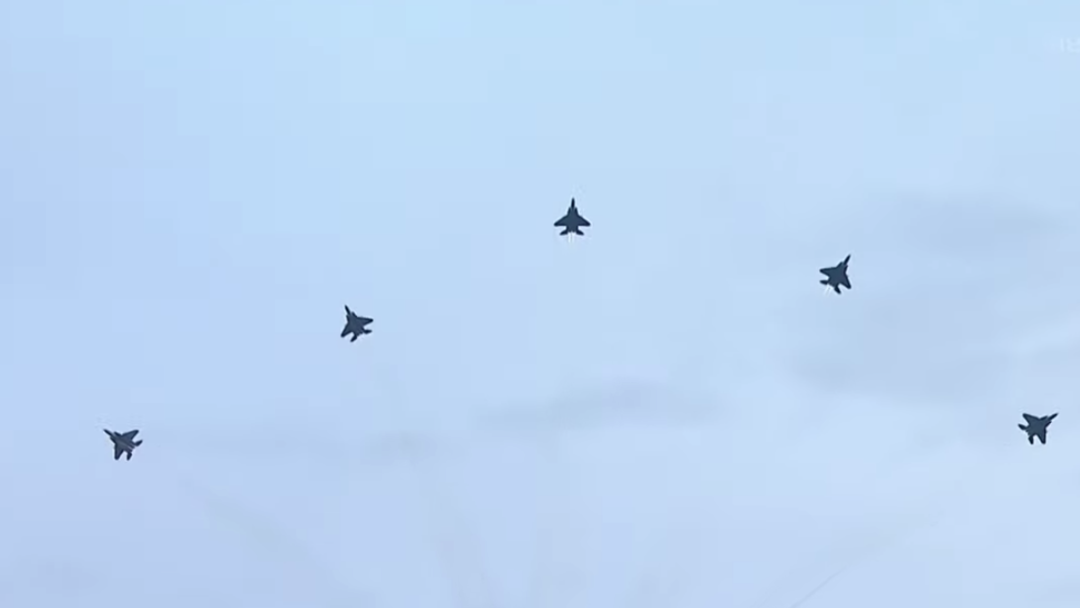 新加坡國慶煙花燃爆夜空!空軍戰機出動、精銳傘兵空降,舉國同歡共慶