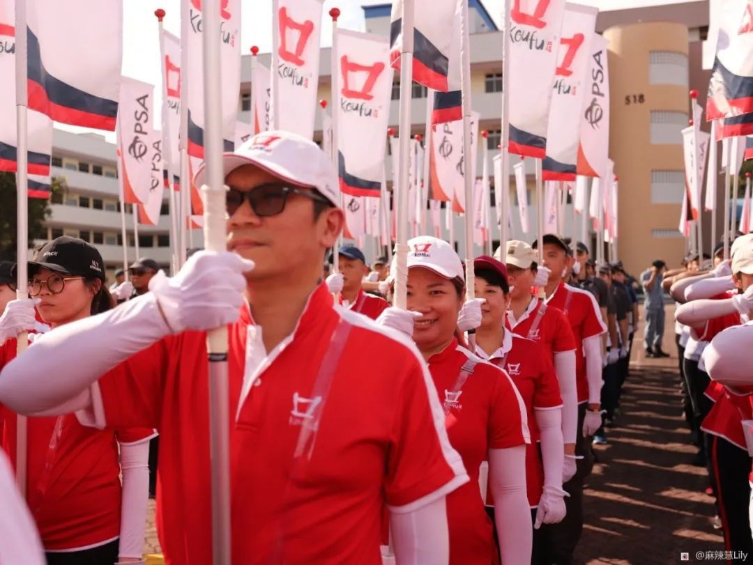 “我参与了新加坡国庆表演！分享排演中的苦辣酸甜”