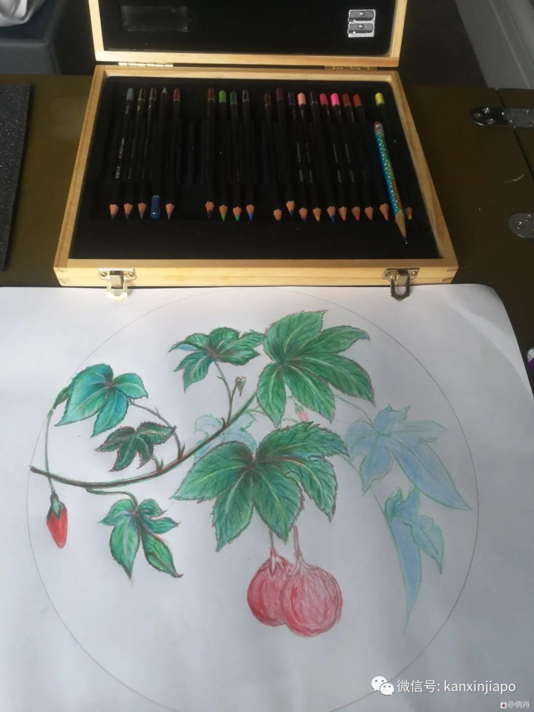 密切接触者的隔离经历，这14天能做什么？