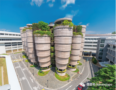 剛需!留學新加坡的小夥伴人手必備