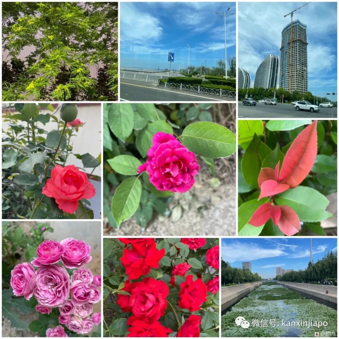 新加坡飛中國全記錄!“完成酒店隔離回家後,健康碼突然變紅色”