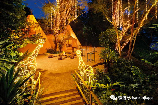 猫山王啤酒配新加坡美食，夜间野生动物园奢华帐篷晚宴再次来袭！