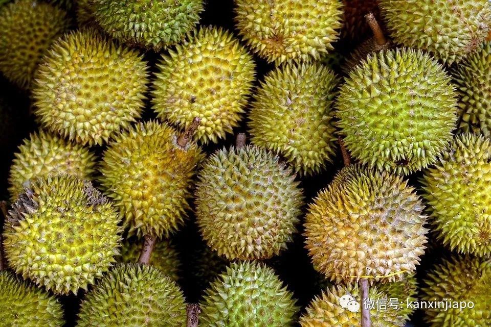 出口中國的榴梿包裝驗出冠病?新加坡公司緊急澄清