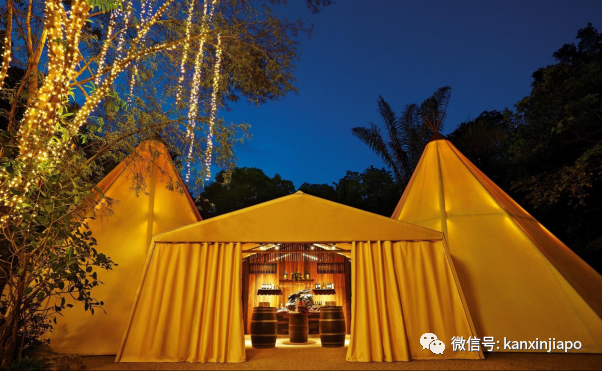 猫山王啤酒配新加坡美食，夜间野生动物园奢华帐篷晚宴再次来袭！