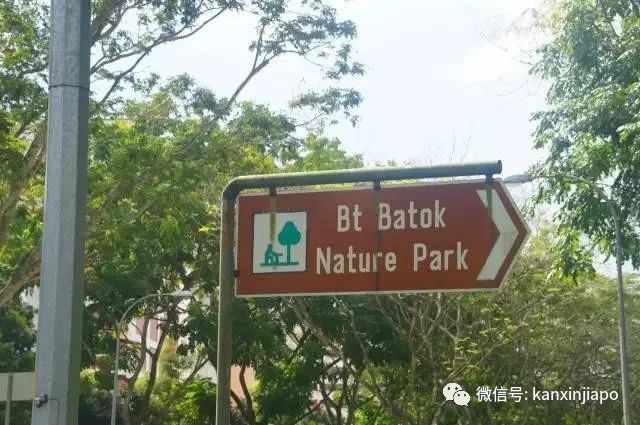新加坡公園奸殺命案,竟在光天化日下行凶,女子差一點能獲救!