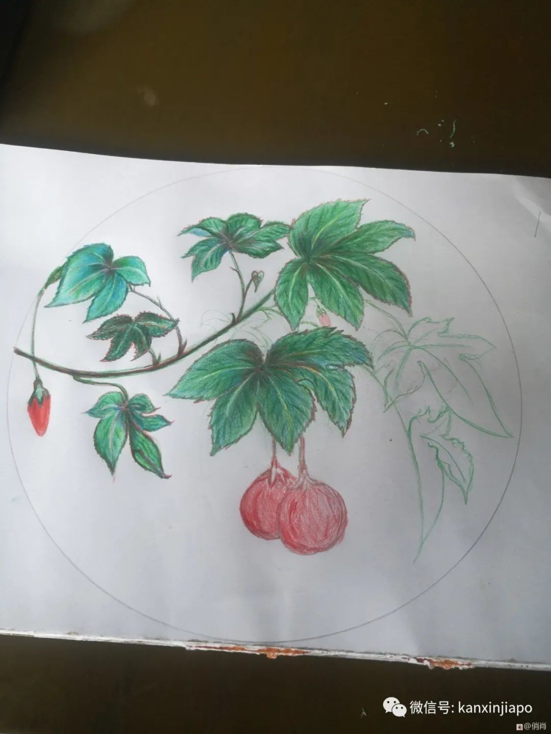 密切接触者的隔离经历，这14天能做什么？