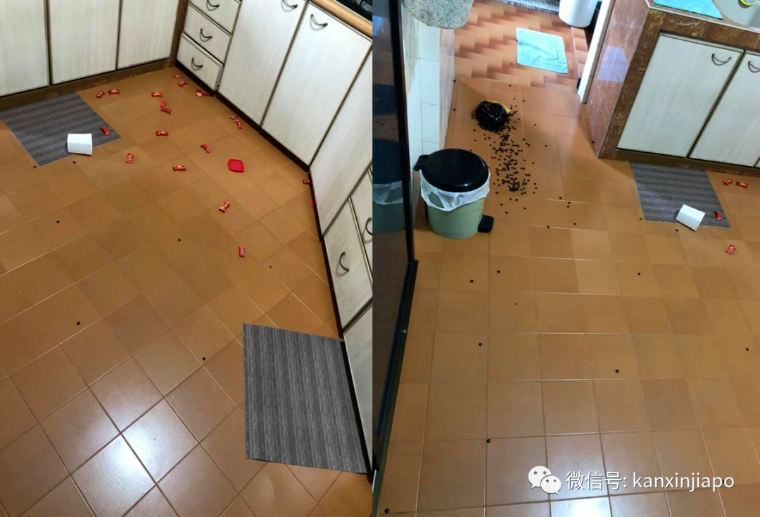 新加坡恐怖囚犯出狱后，抱已婚前女友跳楼，企图开煤气杀人
