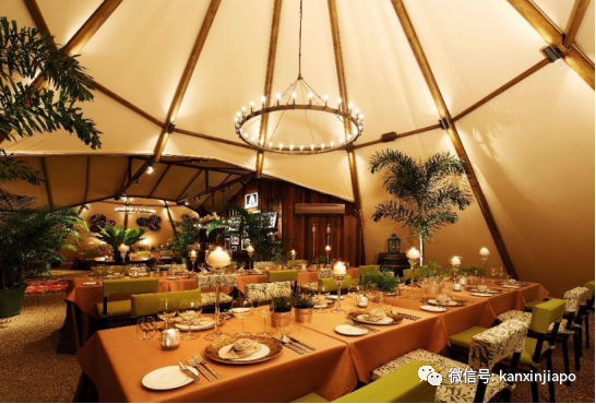 猫山王啤酒配新加坡美食，夜间野生动物园奢华帐篷晚宴再次来袭！