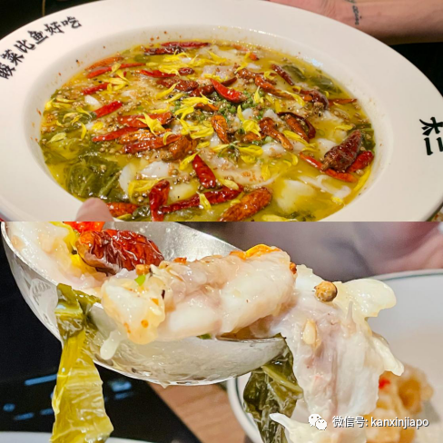 等了6年，風靡中國的網紅酸菜魚終于來新加坡了！