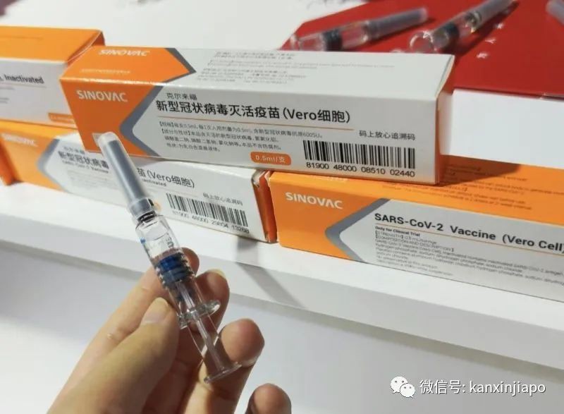 马国两剂科兴售价约115新币，诊所大呼无利可图被骂发国难财