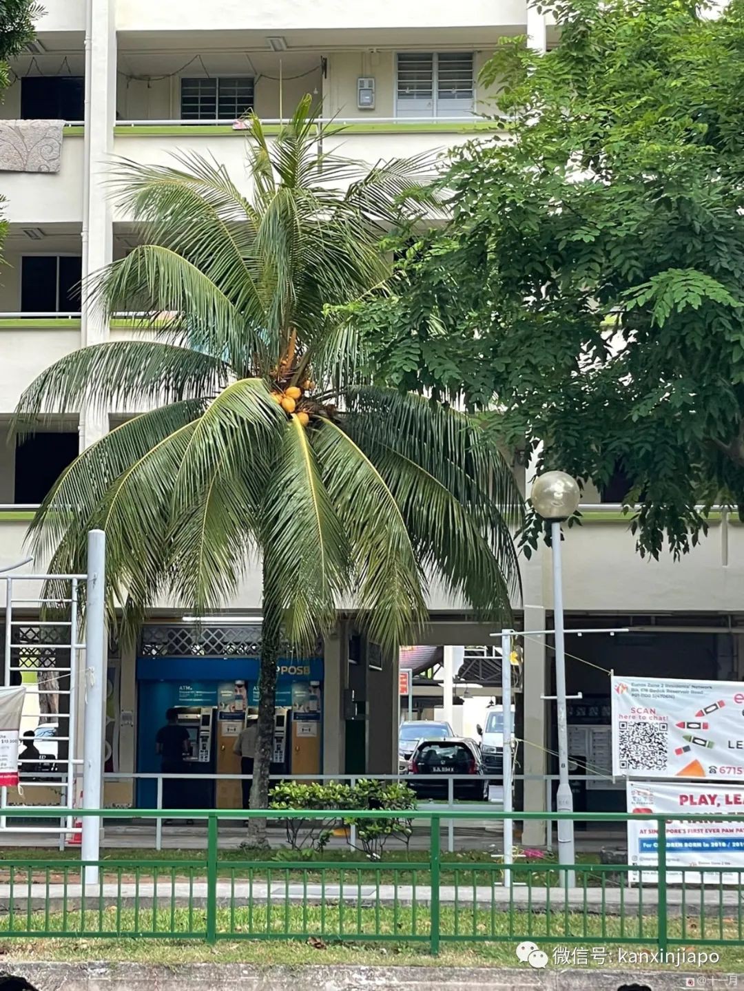 “網上申請Singpass收不到密碼信,我去CC申請,當天就拿到疫苗證明”