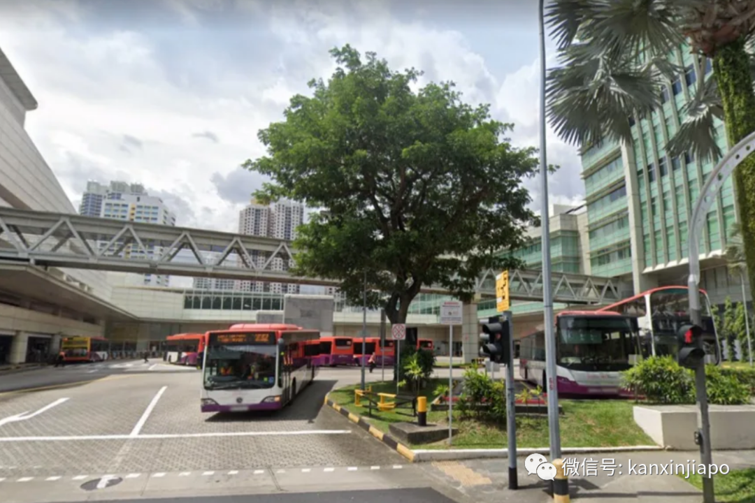 暴增122 | 新加坡爆巴士司机感染群共79人染疫！卫生部长说清零代价太大，只能与冠病共存