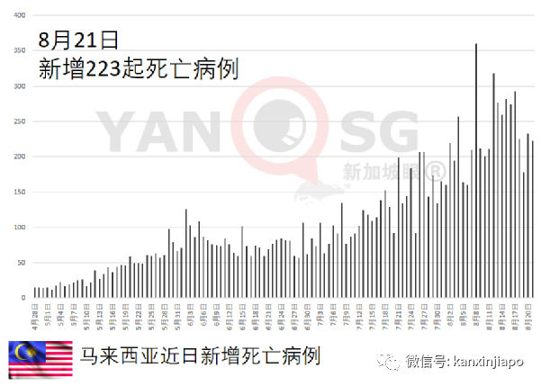 印度批准世界首款DNA疫苗　共三剂为无痛注射