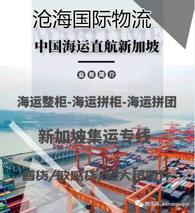 疫情期间为在新加坡的华人提供安全/方便/快捷的中国-新加坡国际集运物流服务