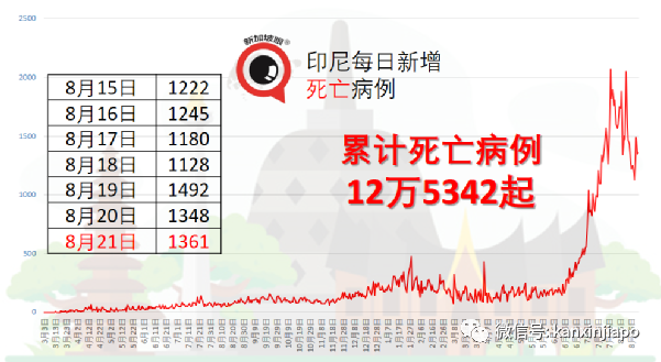 印度批准世界首款DNA疫苗　共三剂为无痛注射