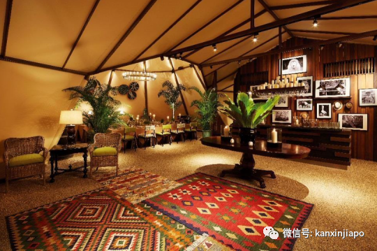 猫山王啤酒配新加坡美食，夜间野生动物园奢华帐篷晚宴再次来袭！
