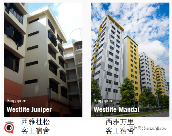 今增111 | 新加坡推进科兴疫苗评估，有望免费接种？现在无需预约就可打这款疫苗