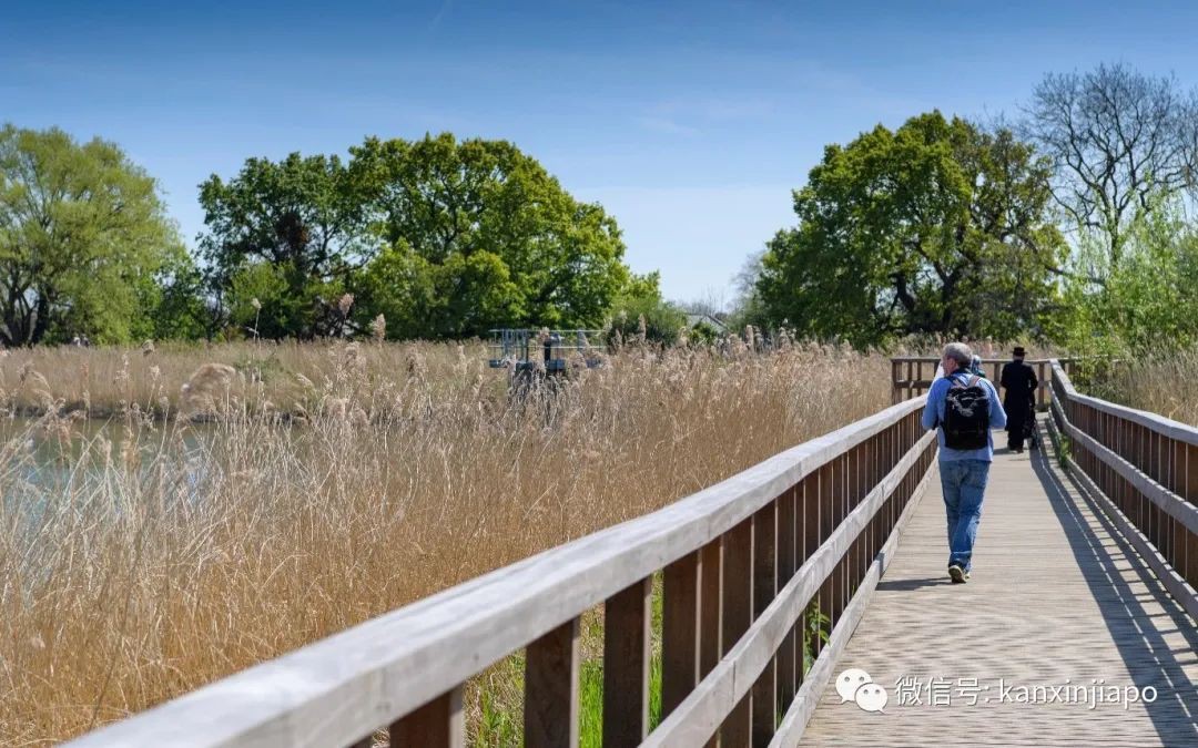 全球房産市場高熱不退,進場投資或是以房養學,還有什麽選擇?
