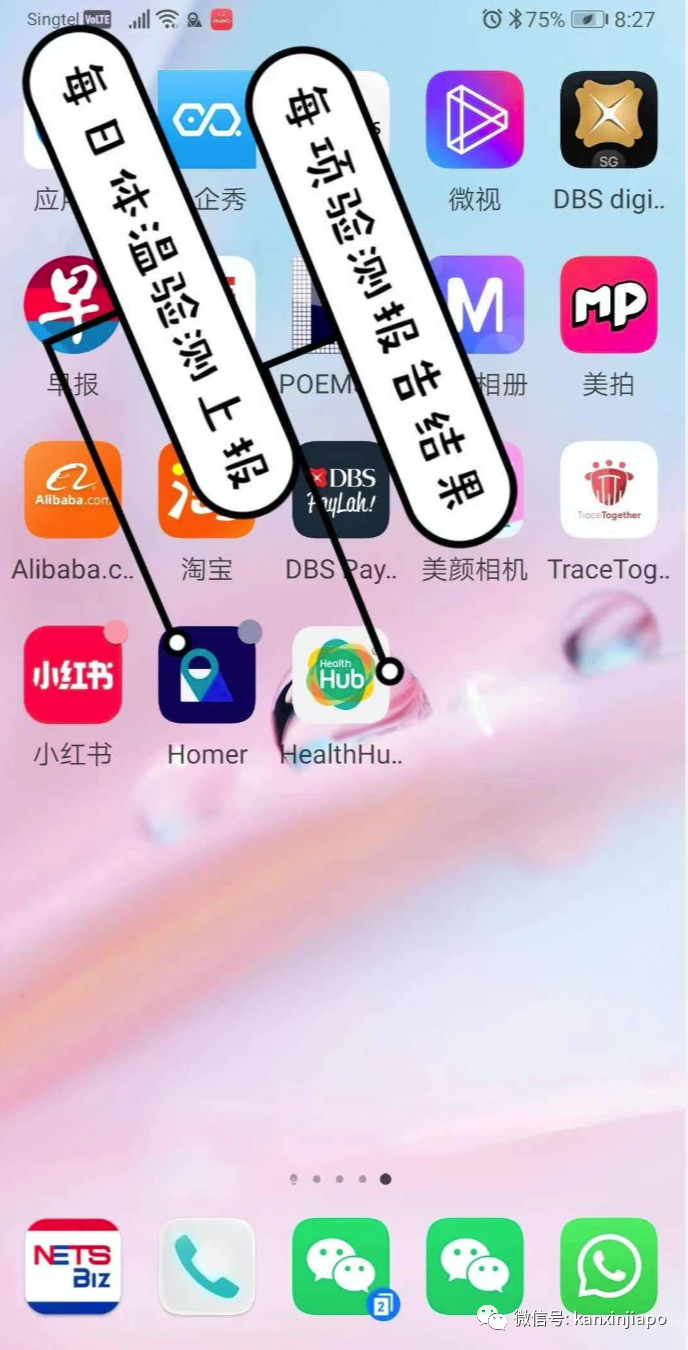 “好朋友居然确诊了！分享惊魂未定的新加坡隔离之路”