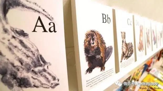 在新加坡必逛的高顔值特色書店,文藝範十足