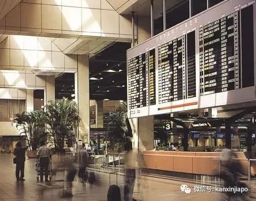 出症狀還四處溜達!回新加坡後違反隔離令,留英女大生被判罪成