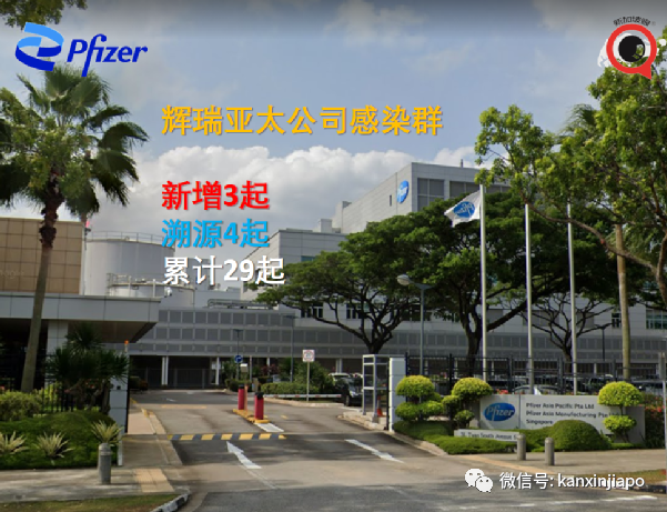 今增917 | 新加坡年長者病例9天翻倍;部長:ICU病患不多但不可掉以輕心