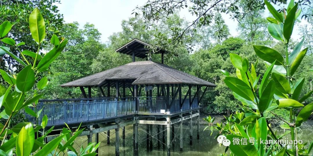 双溪布洛湿地公园，新加坡西部周末休闲的好去处