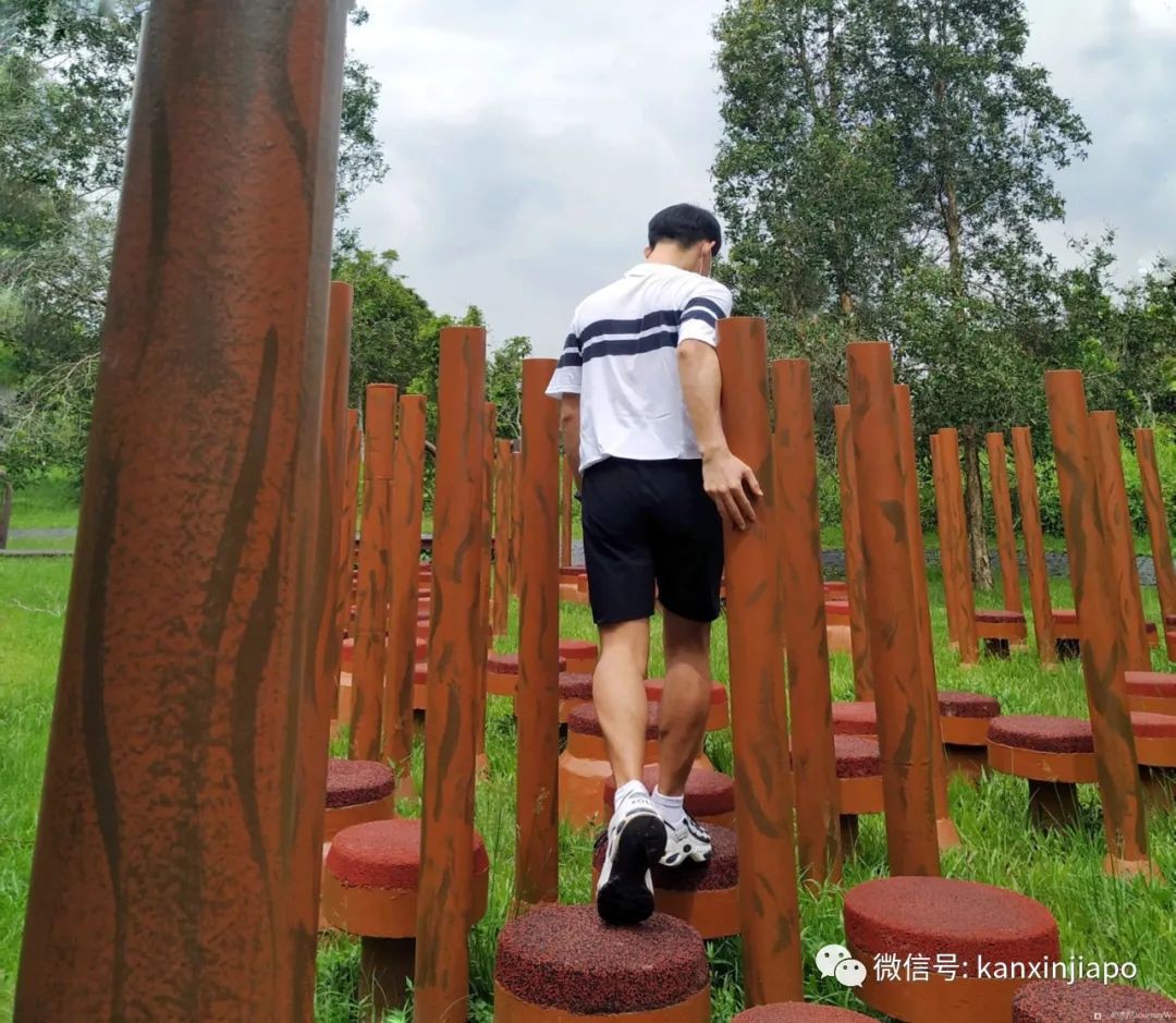 双溪布洛湿地公园，新加坡西部周末休闲的好去处