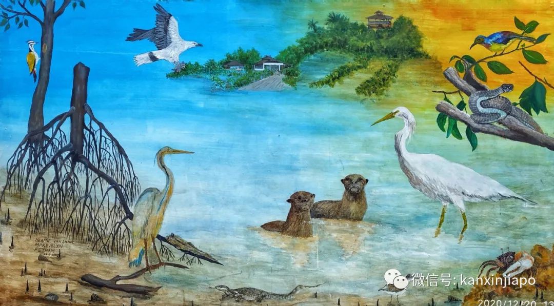 双溪布洛湿地公园，新加坡西部周末休闲的好去处