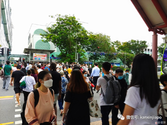 “在新加坡街頭有老人向你要錢,該給嗎?”