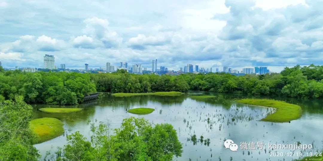 双溪布洛湿地公园，新加坡西部周末休闲的好去处