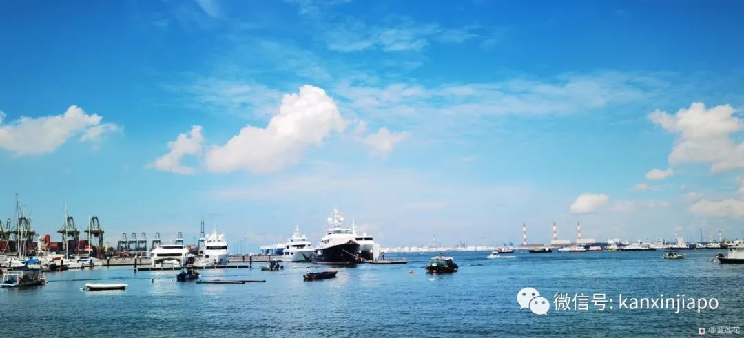 新加坡小众遛娃好去处，吃喝玩乐一应俱有～