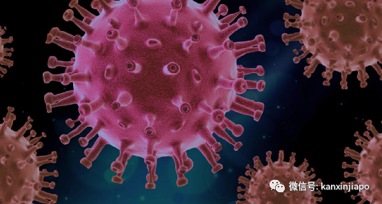 如何才能对冠病产生免疫力？新加坡病毒学博士这样说