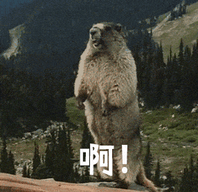 同樣條件,身邊的朋友都拿到了新加坡PR,爲什麽我的總是被拒?