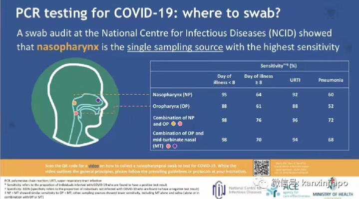 “終于能出國玩了!”疫情之下,從新加坡飛德國旅遊實錄