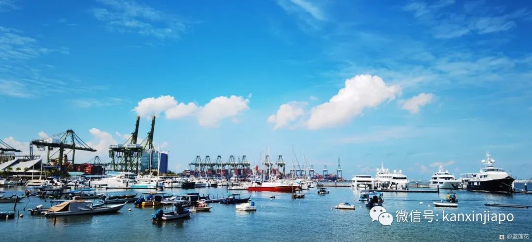 新加坡小衆遛娃好去處,吃喝玩樂一應俱有~