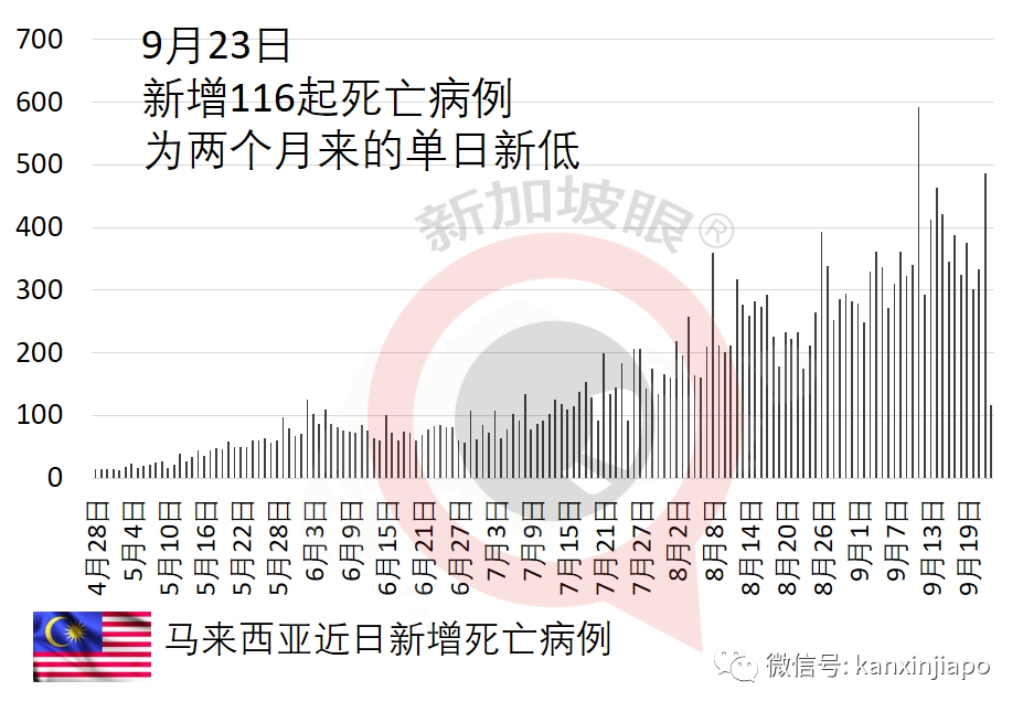 新加坡輝瑞公司感染群大增17起;兩客工宿舍一幼兒園出現感染群