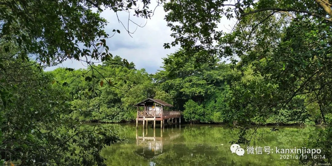 双溪布洛湿地公园，新加坡西部周末休闲的好去处