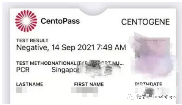 “終于能出國玩了!”疫情之下,從新加坡飛德國旅遊實錄