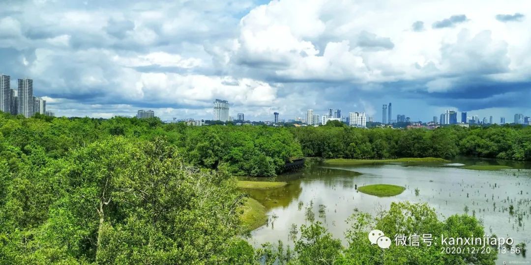 双溪布洛湿地公园，新加坡西部周末休闲的好去处
