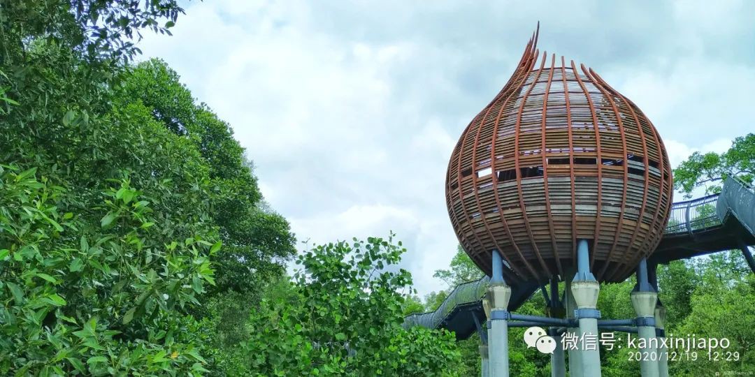 双溪布洛湿地公园，新加坡西部周末休闲的好去处