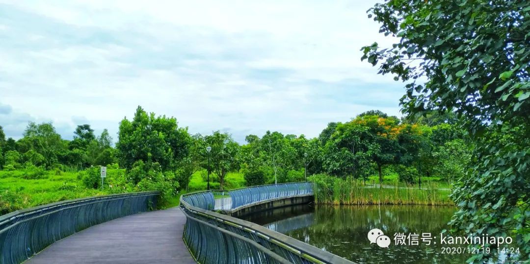 双溪布洛湿地公园，新加坡西部周末休闲的好去处