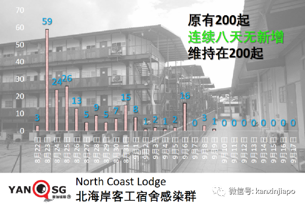 新加坡连续5天爆工友相关感染群，牛车水感染群增至256起