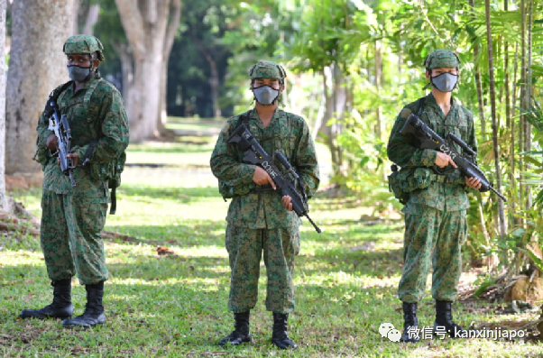 “我的兒子進了德光島…”新加坡神秘的軍事重地到底什麽樣?