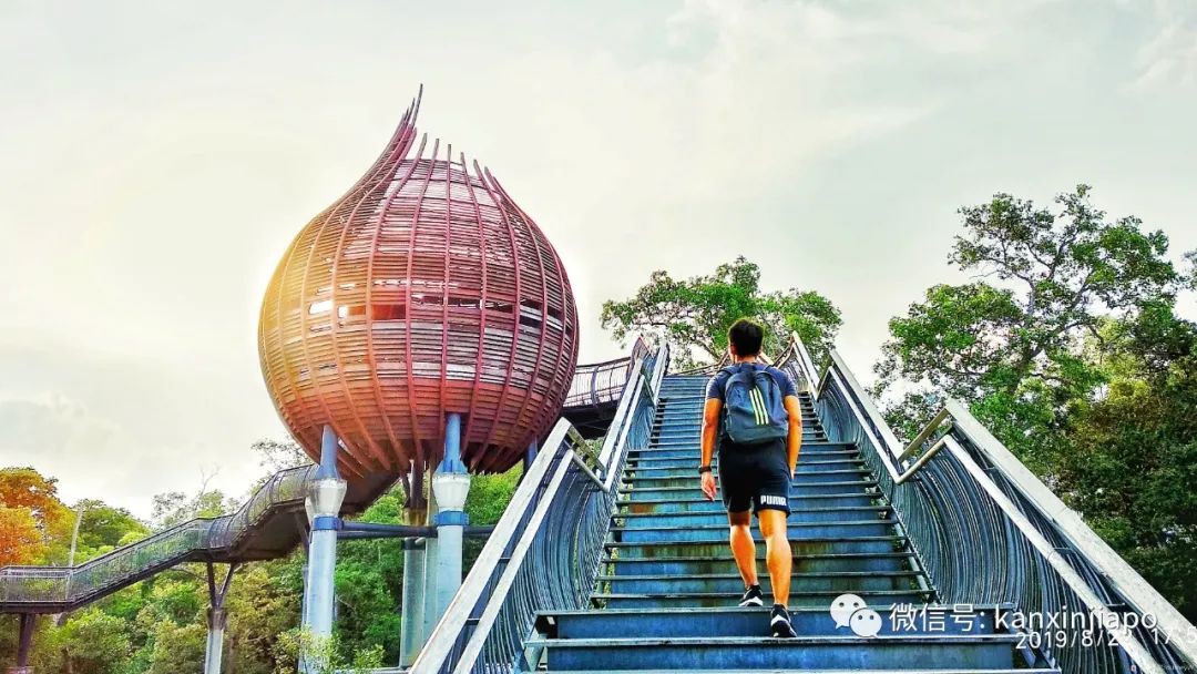 双溪布洛湿地公园,新加坡西部周末休闲的好去处
