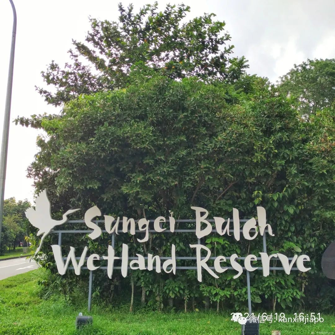 双溪布洛湿地公园，新加坡西部周末休闲的好去处