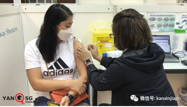 大增607 | 深度分析:疫苗擋不住病毒傳播，新加坡式“共存之路”該如何走?