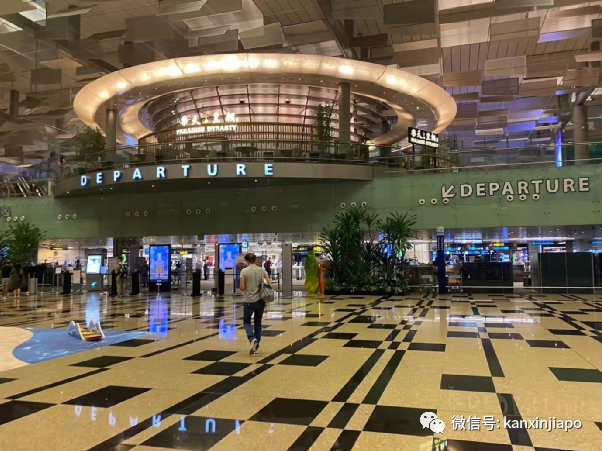 “終于能出國玩了!”疫情之下,從新加坡飛德國旅遊實錄