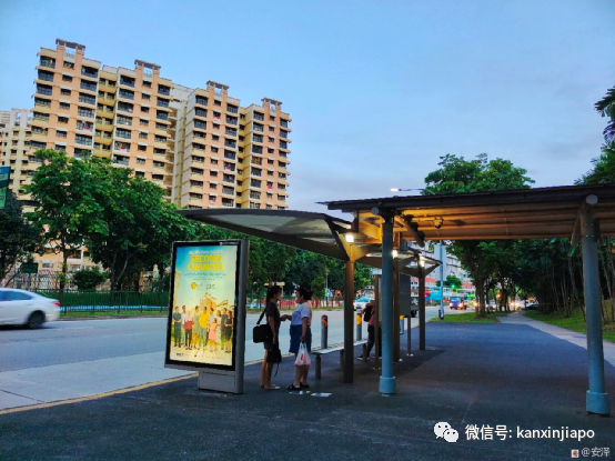 “在新加坡街頭有老人向你要錢,該給嗎?”