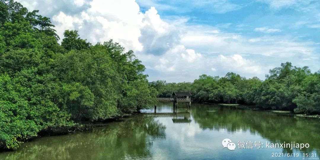 双溪布洛湿地公园，新加坡西部周末休闲的好去处